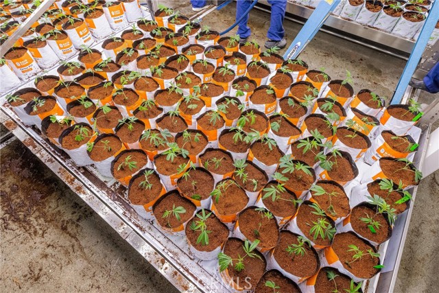 Image 40 of 54 For 44211 Yucca