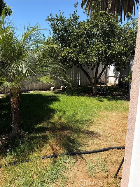 Property Photo 38