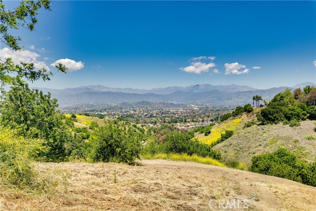 1545 Calle Cristina, San Dimas CA: https://media.crmls.org/medias/955c790f-d80e-409d-a56d-7b818afbadcb.jpg