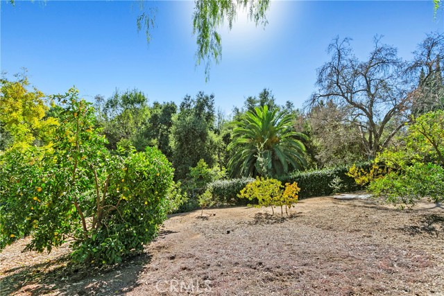 Detail Gallery Image 47 of 71 For 3305 Rancho Rio Bonita Rd, Covina,  CA 91724 - 3 Beds | 2/1 Baths