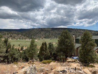 0 Ponderosa, Big Bear City, California 92314, ,Land,For Sale,0 Ponderosa,CROC20150732