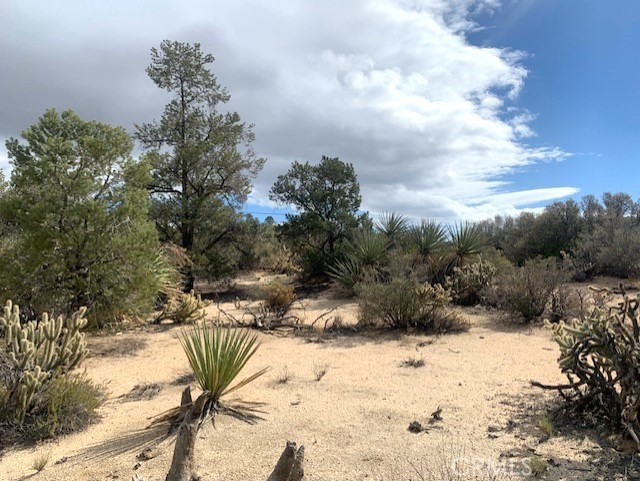 Detail Gallery Image 13 of 15 For 368 Palm Canyon Dr, Mountain Center,  CA 92561 - – Beds | – Baths