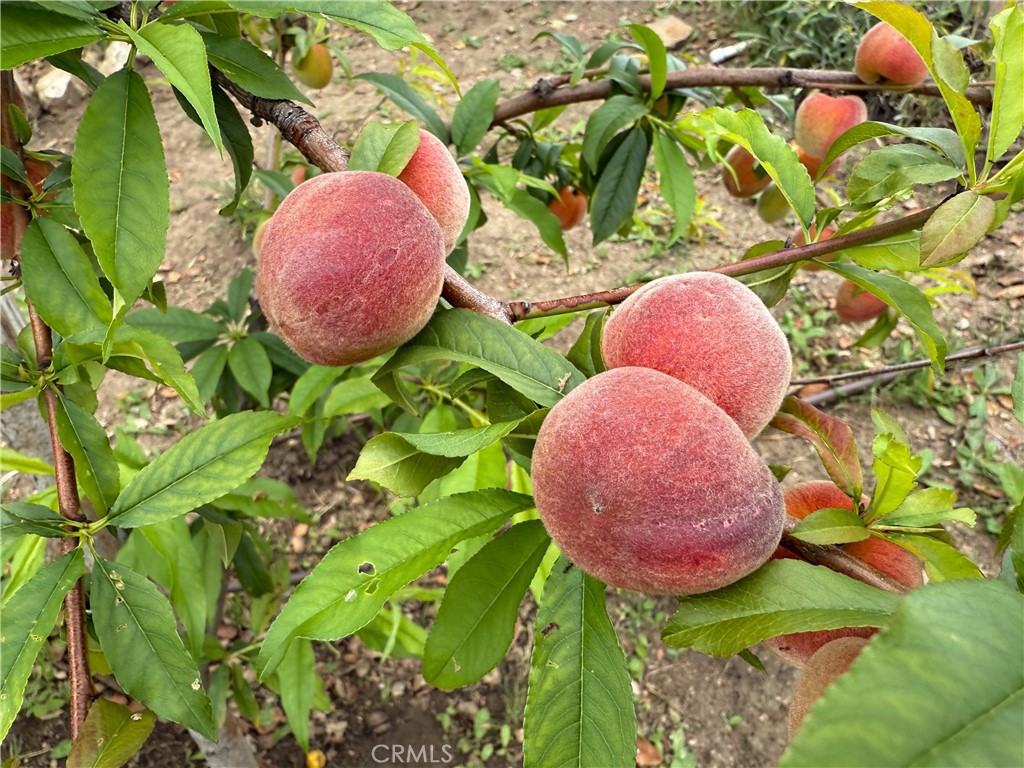 https://media.crmls.org/medias/956943c1-13d8-47d6-a980-eb2e4ad3f07b.jpg?preset=X-Large