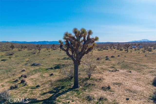 Detail Gallery Image 13 of 45 For 58459 Starlight Mesa Rd, Yucca Valley,  CA 92284 - – Beds | – Baths