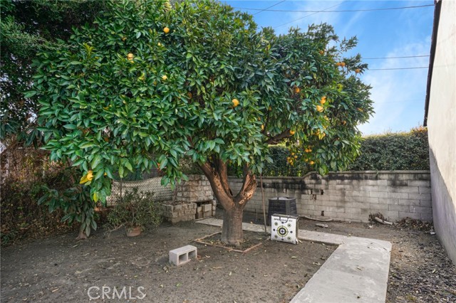 236 North Beachwood Drive photo 8