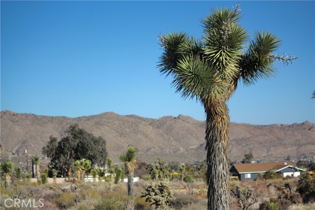 Detail Gallery Image 18 of 20 For 8435 Bannock Trl, Yucca Valley,  CA 92284 - – Beds | – Baths