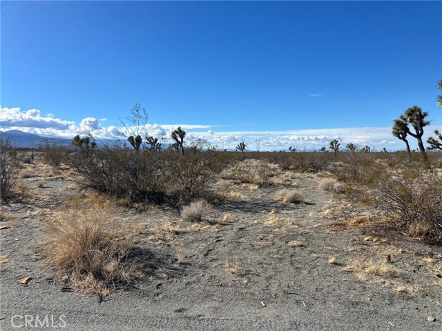 Front Image Thumbnail for CRHD26051725