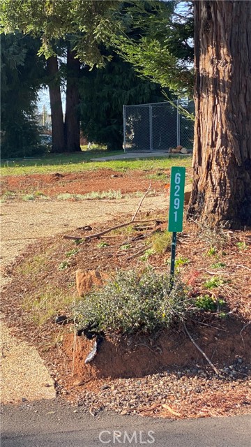 Front Image Thumbnail for CRSN26003175