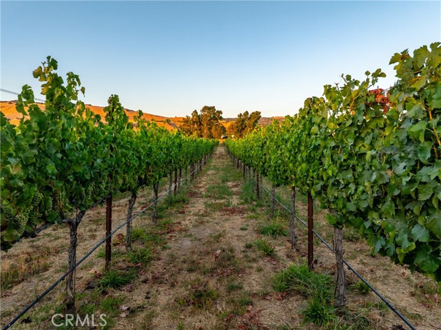 Detail Gallery Image 41 of 49 For 2143 Buena Vista Ave, Gilroy,  CA 95020 - 0 Beds | 1 Baths