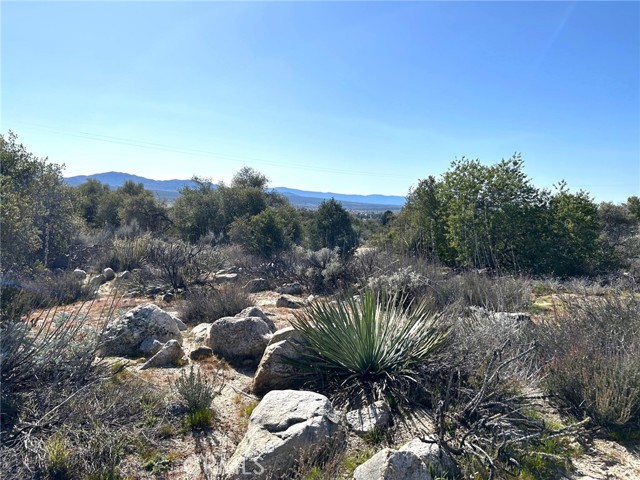 Detail Gallery Image 9 of 29 For 0 Oak Rd, Anza,  CA 92539 - – Beds | – Baths