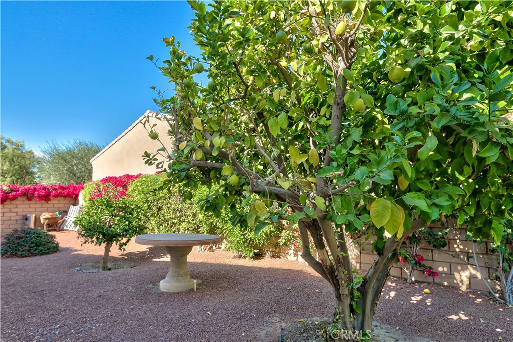 MLS #SW25260970 image #47