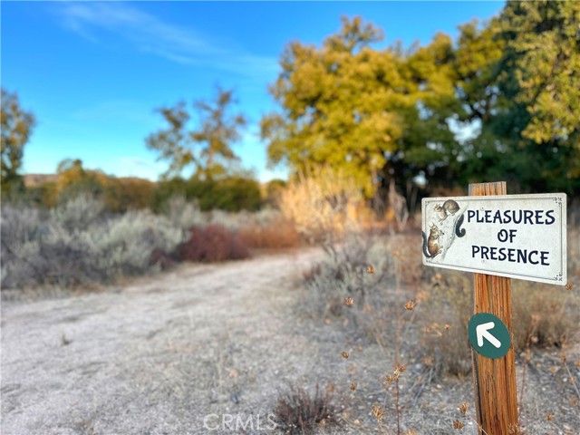 Detail Gallery Image 52 of 75 For 30415 Chihuahua Valley Rd, Warner Springs,  CA 92086 - 1 Beds | 1 Baths