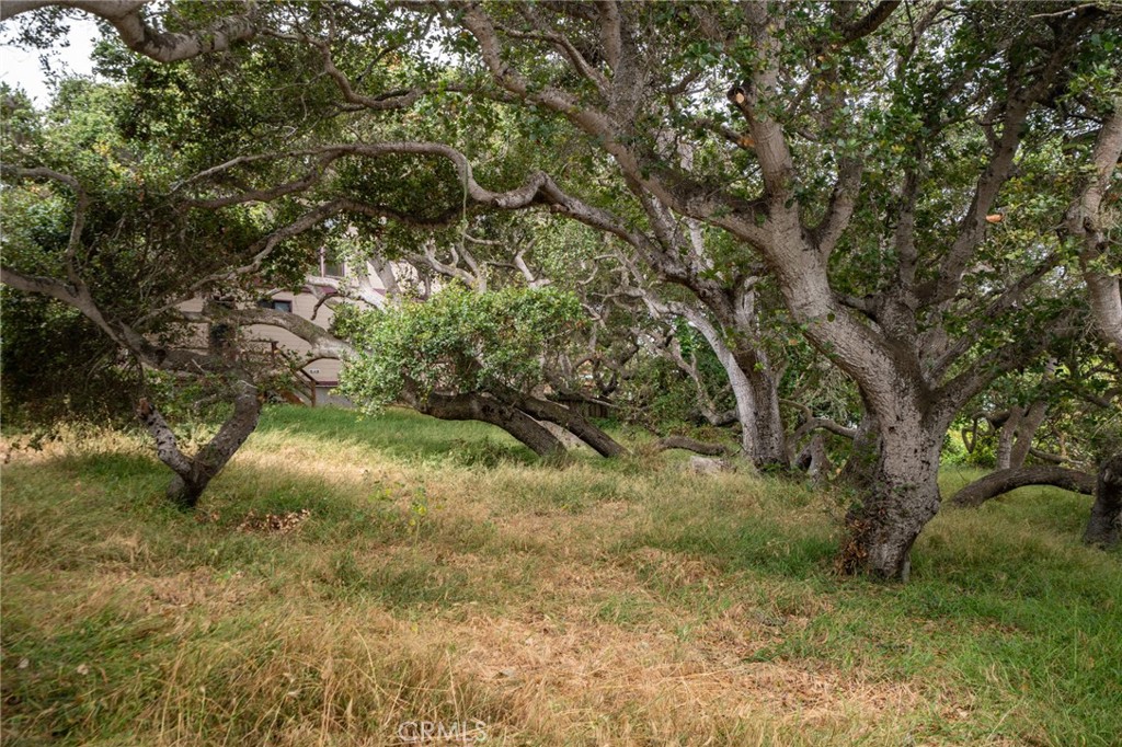 MLS #SC25145989 image #8