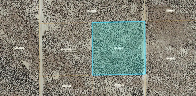 Front Image Thumbnail for CRSR26049544