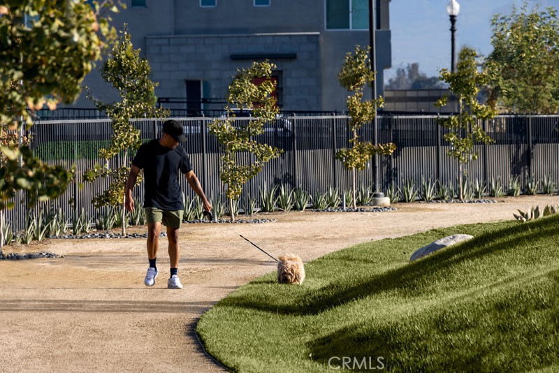 https://media.crmls.org/medias/95999d47-e4bf-45fe-9072-60f8f961a641.jpg?preset=X-Large