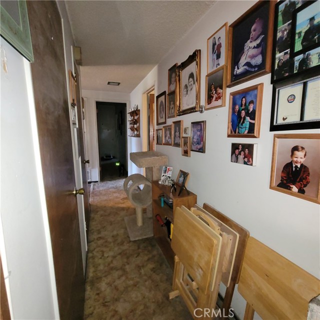 Hallway to living room.