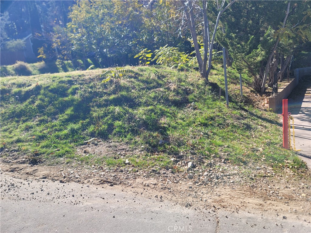 MLS #SR25255523 image #4