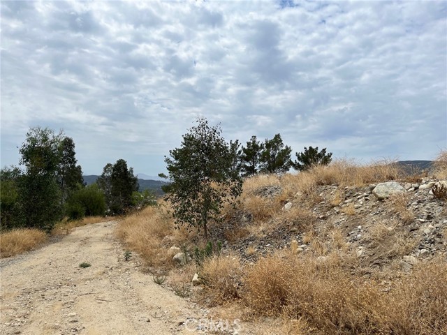 1244 Knoll Street, San Bernardino, California 92407, ,Land,For Sale,1244 Knoll Street,CREV22167289