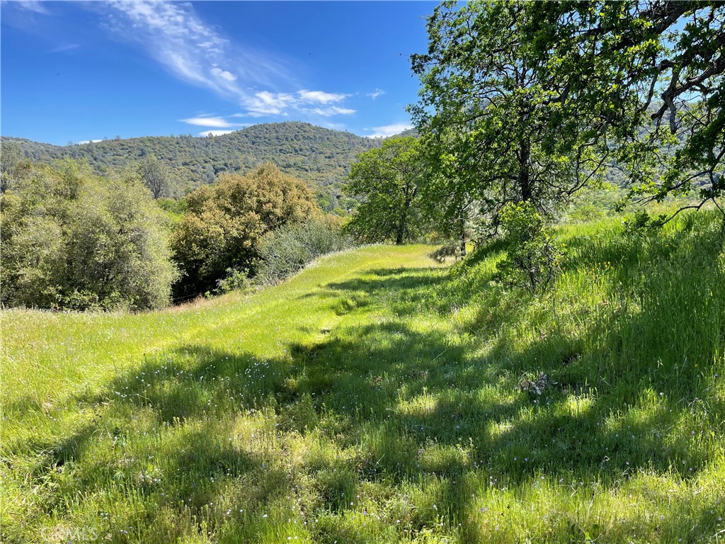 MLS #MP25096218 image #19