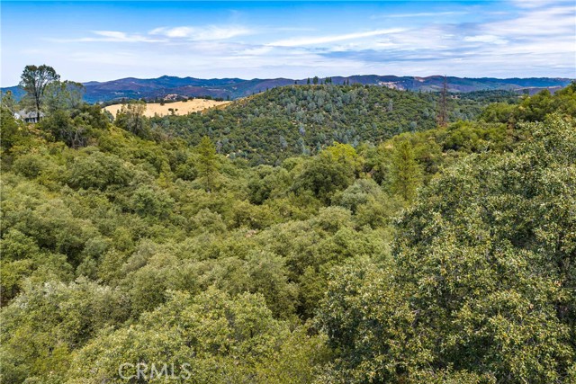 Detail Gallery Image 6 of 9 For 6652 Pappalardo Promenade, Murphys,  CA 95247 - – Beds | – Baths