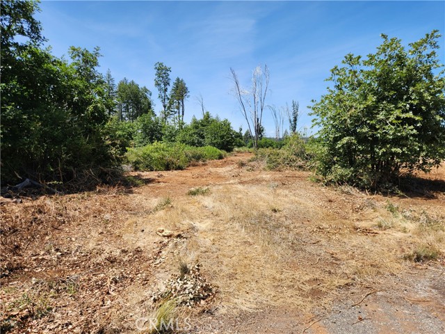 14248 Monte Calle Lane, Magalia CA: https://media.crmls.org/medias/95ad32bf-631c-4e39-9004-3845ba9ee6ad.jpg