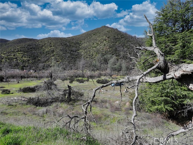 16095 Quail Trail, Clearlake Oaks, California 95423, ,Land,For Sale,16095 Quail Trail,CRLC24051040