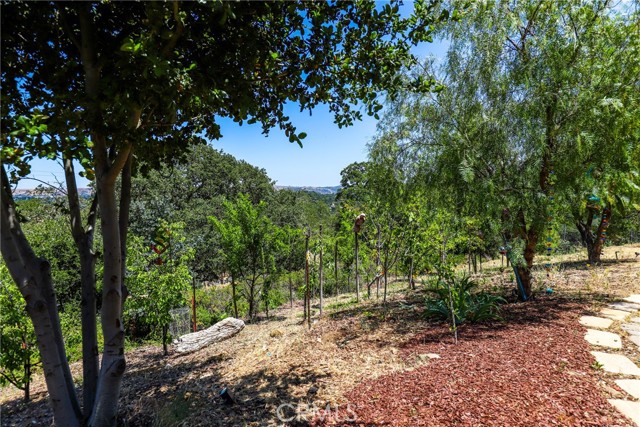 10755 Santa Ana Road, Atascadero CA: https://media.crmls.org/medias/95b36814-0889-4e17-a34c-2d97a266533c.jpg