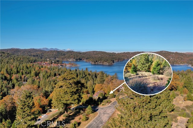 202 Hidden Forest Road, Lake Arrowhead, California 92352, ,Land,For Sale,202 Hidden Forest Road,CREV23214554