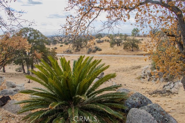 Detail Gallery Image 57 of 60 For 33101 Road 613, Raymond,  CA 93653 - 3 Beds | 2 Baths