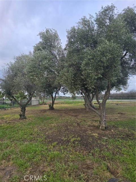 Detail Gallery Image 16 of 19 For 11315 Childs, Le Grand,  CA 95333 - 2 Beds | 1 Baths