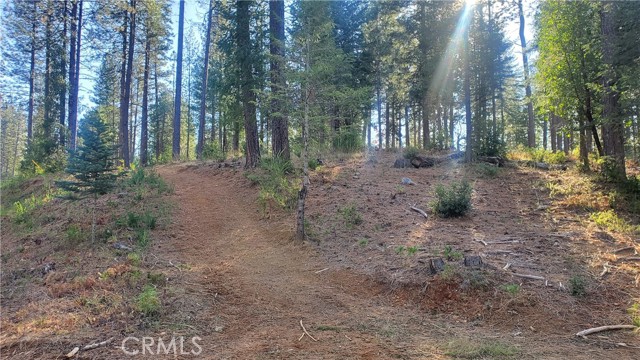 1 Coutolenc Road, Magalia, California 95954, ,Land,For Sale,1 Coutolenc Road,CRSN23217034