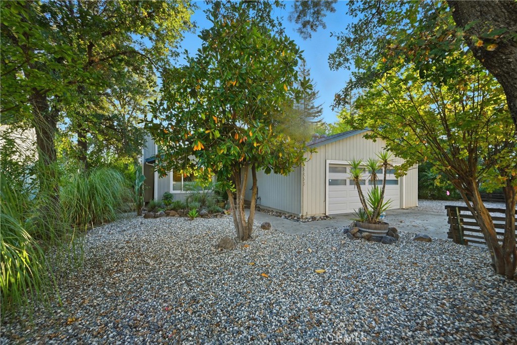 19453 Mountain Meadow North