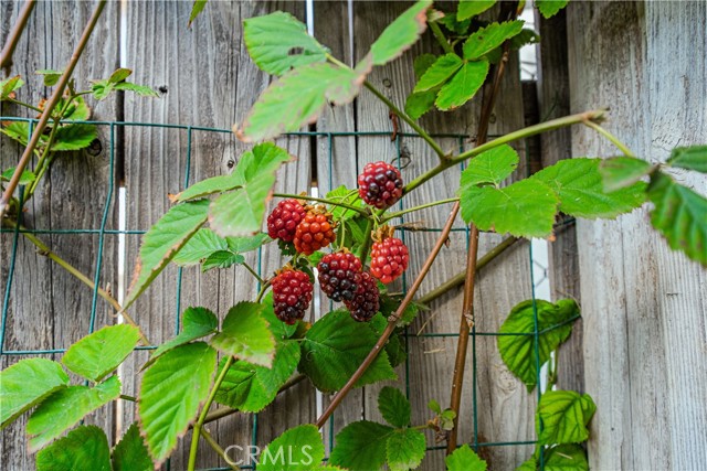 Detail Gallery Image 37 of 74 For 6580 Lake, Riverside,  CA 92503 - 3 Beds | 2 Baths