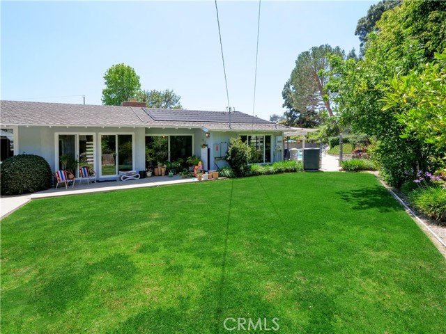 Grassy Side Yard