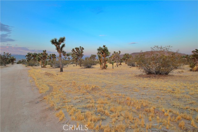 Detail Gallery Image 11 of 12 For 0 Forrest Dr, Yucca Valley,  CA 92284 - – Beds | – Baths