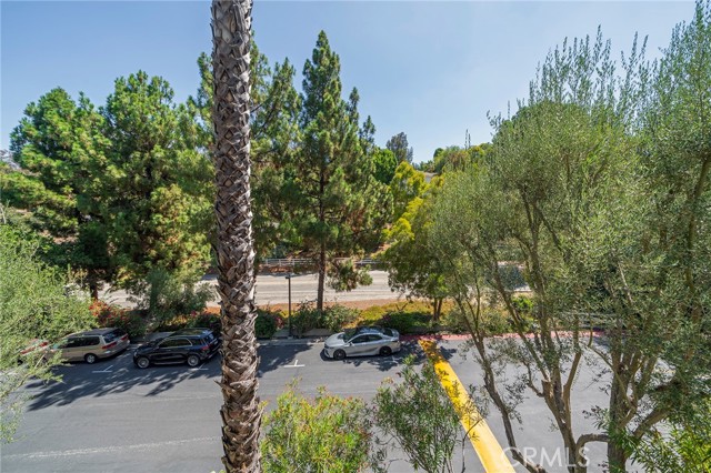 Views to greet your guests when they are parking.