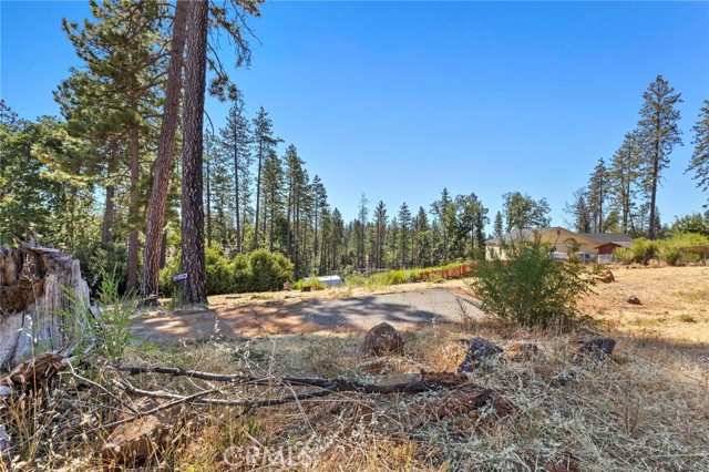 1700 Bandtail Lane, Paradise CA: https://media.crmls.org/medias/95d86b1c-fa0d-40d1-bdda-59d0def8ae98.jpg