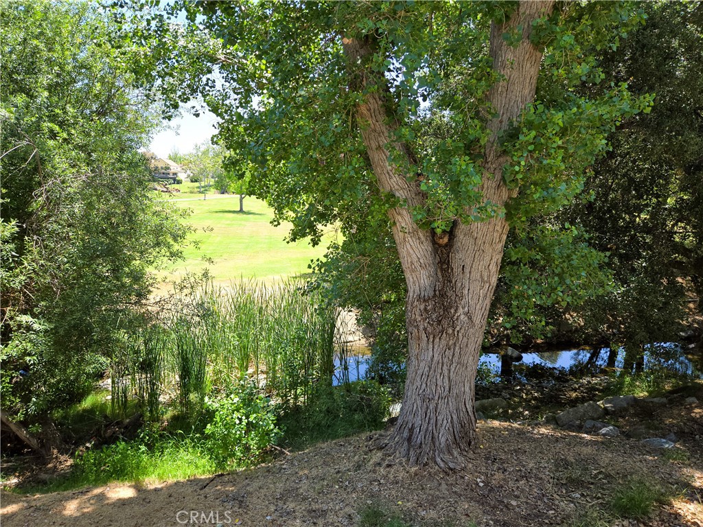 https://media.crmls.org/medias/95d9922d-8bfe-49f9-b03c-c8d4393eeef7.jpg?preset=X-Large