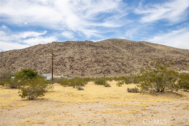 4225 Benji Avenue, Joshua Tree, California 92252, ,Land,For Sale,4225 Benji Avenue,CRJT23182225