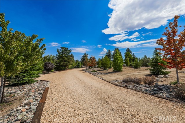 Detail Gallery Image 7 of 52 For 59333 Hop Patch Spring Rd, Mountain Center,  CA 92561 - 5 Beds | 4/1 Baths