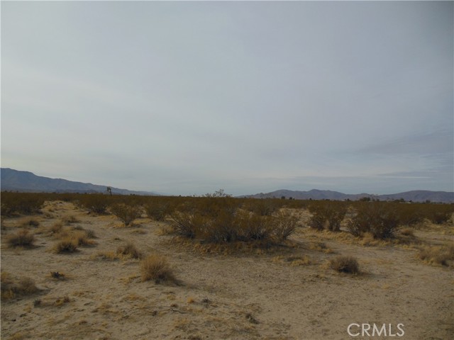 0 Joshua Avenue, Lucerne Valley CA: https://media.crmls.org/medias/95e5fc2f-933b-4555-892c-5dc47bef0a29.jpg