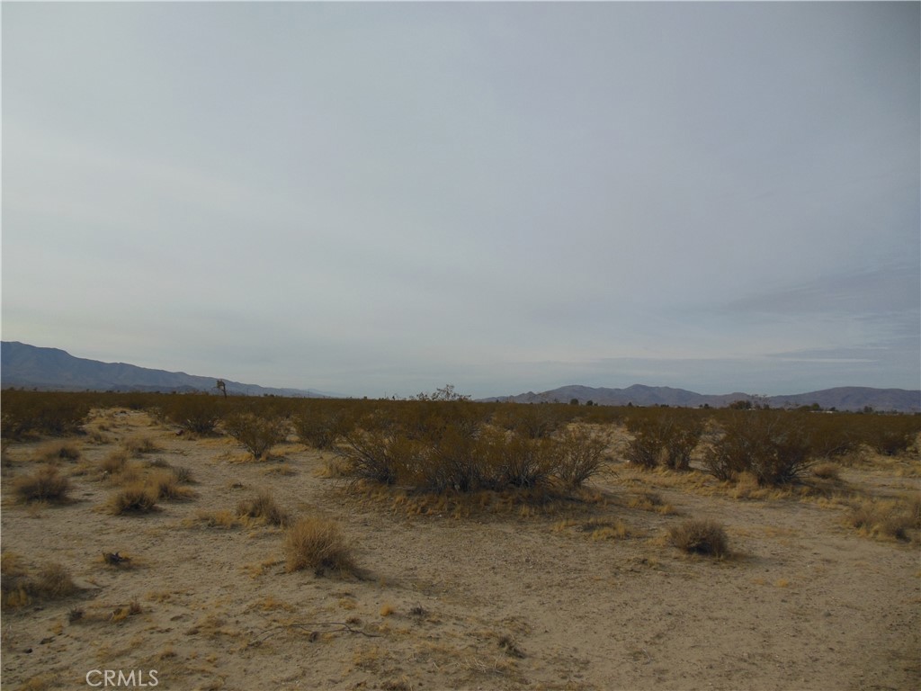 MLS #OC25175074 image #4