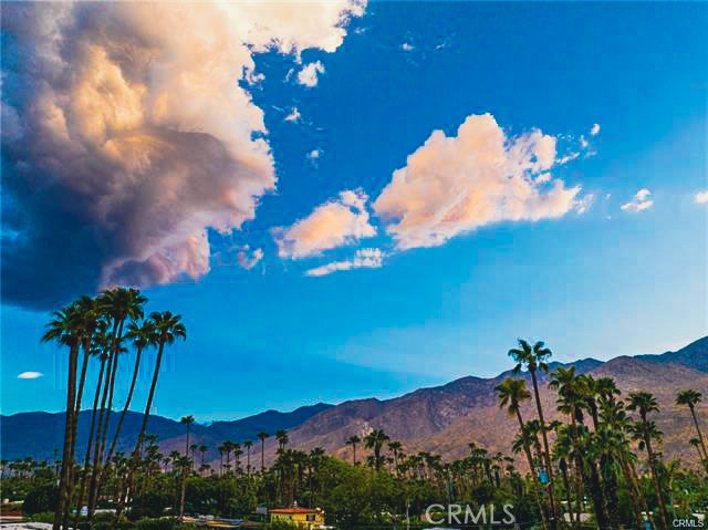 MLS #PW25026577 image #38