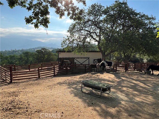 Detail Gallery Image 47 of 61 For 27513 Deer Creek Way, Keene,  CA 93531 - 4 Beds | 4/1 Baths