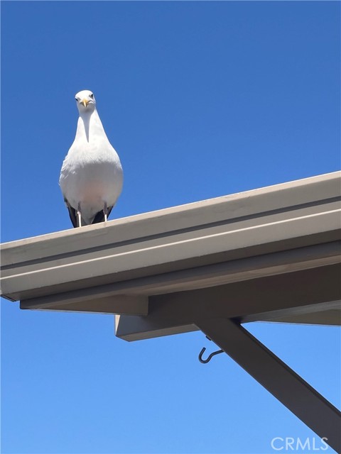 Detail Gallery Image 42 of 52 For 1154 Santa Ysabel, Los Osos,  CA 93402 - 3 Beds | 2 Baths