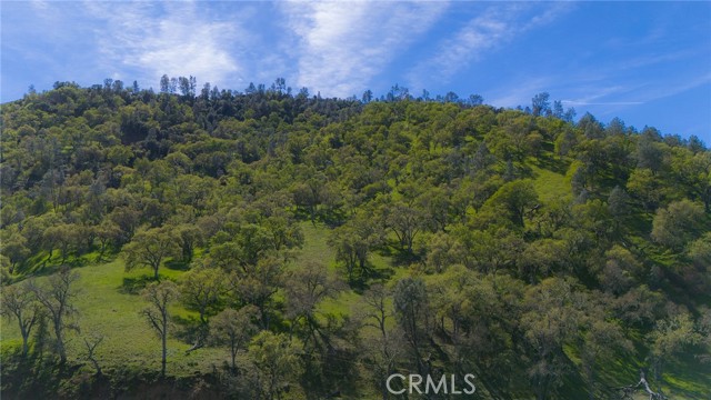 Detail Gallery Image 57 of 63 For 2935 Sorrel Ln, Paso Robles,  CA 93446 - 4 Beds | 2/1 Baths