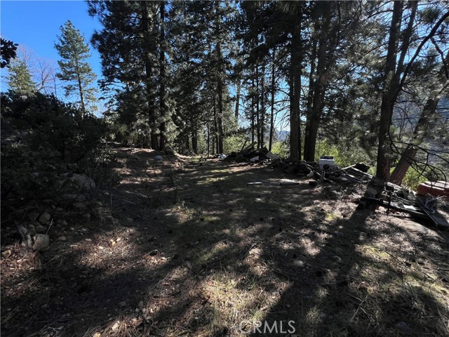 Detail Gallery Image 15 of 18 For 0 Ca-38, Angelus Oaks,  CA 92305 - – Beds | – Baths