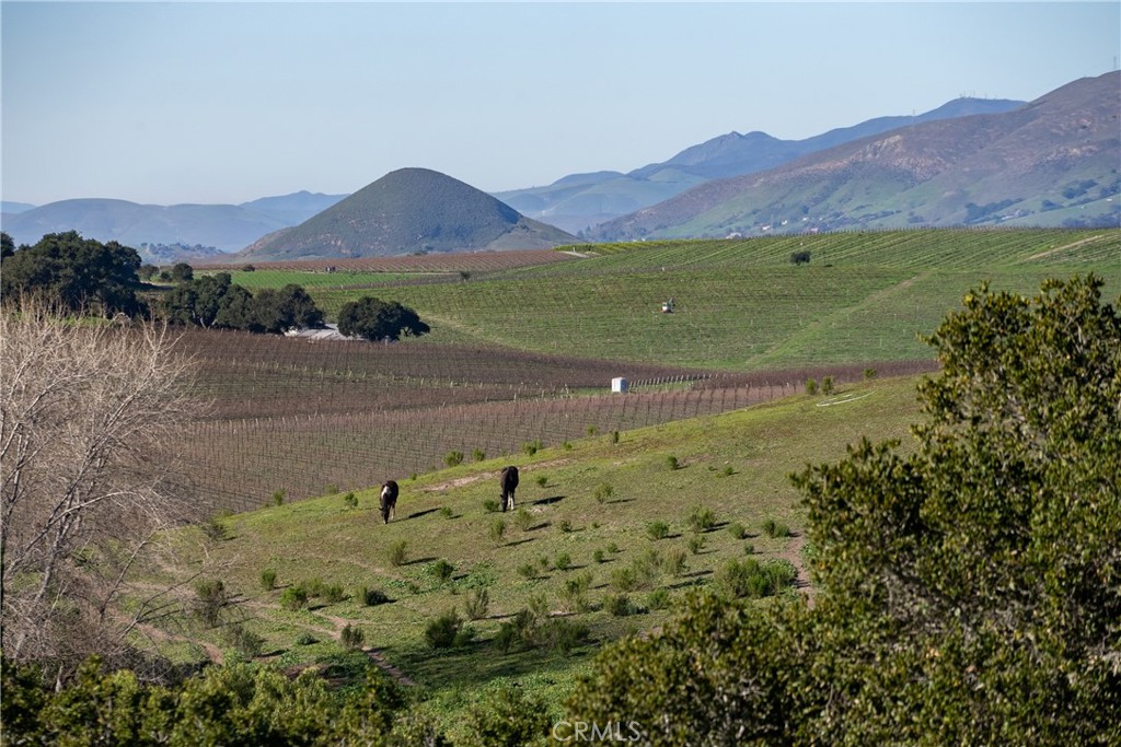 1195 Tiffany Ranch Road