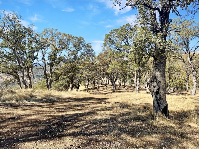 Detail Gallery Image 14 of 21 For 20560 Solar Ridge, Lower Lake,  CA 95457 - – Beds | – Baths