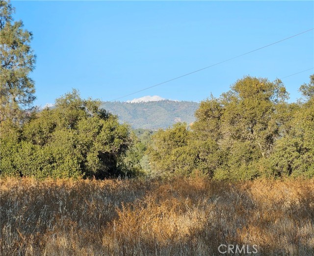 Detail Gallery Image 1 of 1 For 7 Lot Chukchansi Rd, Coarsegold,  CA 93614 - – Beds | – Baths